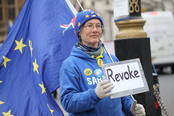 A protester calls for the revocation of Article 50