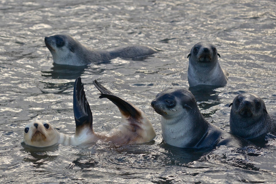 Ταξίδι στο πιο απομονωμένο μέρος της γης (1.400 χιλιόμετρα μακριά από τον