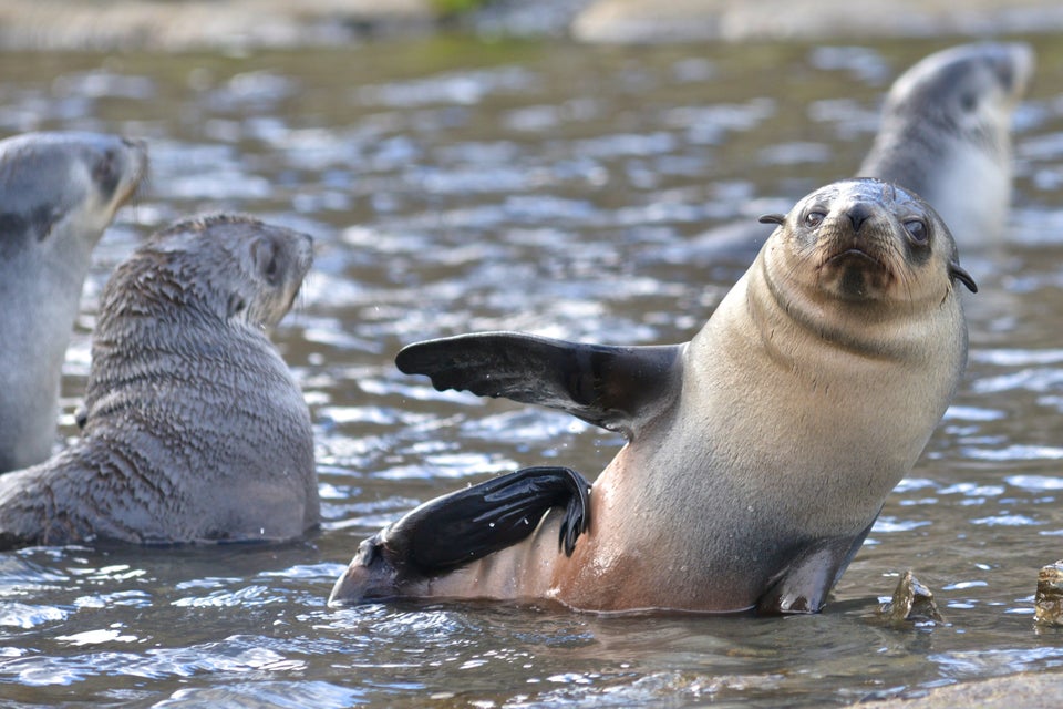 Ταξίδι στο πιο απομονωμένο μέρος της γης (1.400 χιλιόμετρα μακριά από τον