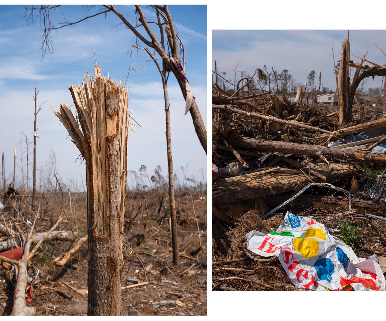 (Left) Trees were ripped apart as if they had been exploded by dynamite in Alabama's Lee County. (Right) A bit of irony -- the party game Twister is seen amid the debris left behind by the devastating tornado.