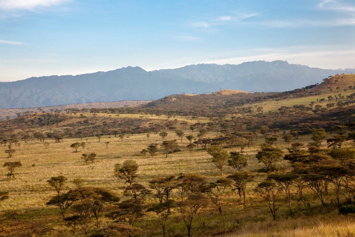 A 35-year-old American woman and her driver have been kidnapped inside Uganda's Queen Elizabeth National Park after her vehicle was held at gunpoint on Tuesday.