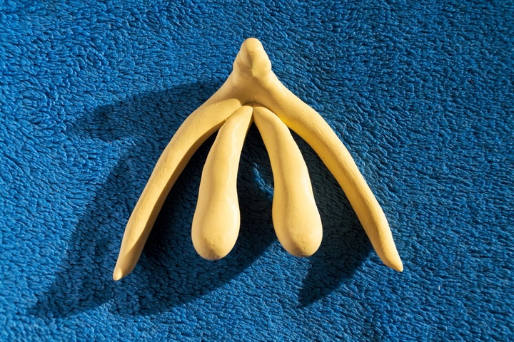 The clitoris, depicted in full above, is more than just the small bean or "glans clitoris" most are familiar with.