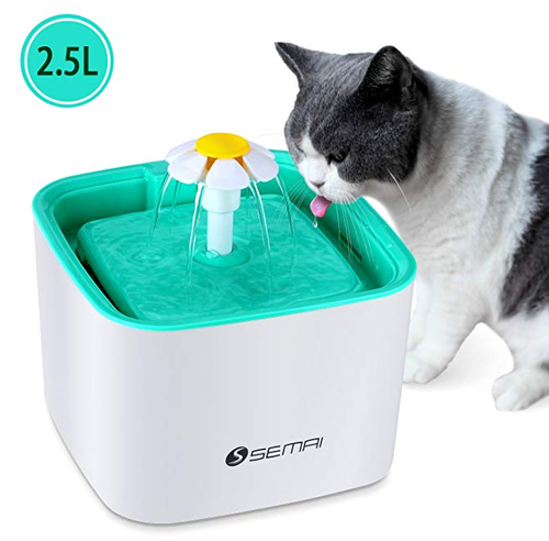 5 Amazon Gadgets Your Cat Will Love  From Water Fountains To Automated Toys  | HuffPost UK Life