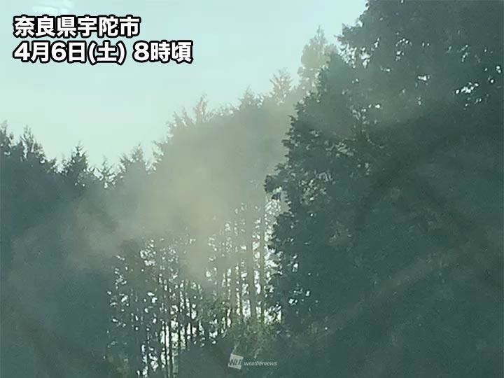 奈良県からは「ヒノキ花粉が煙のように飛んでいます」との投稿も