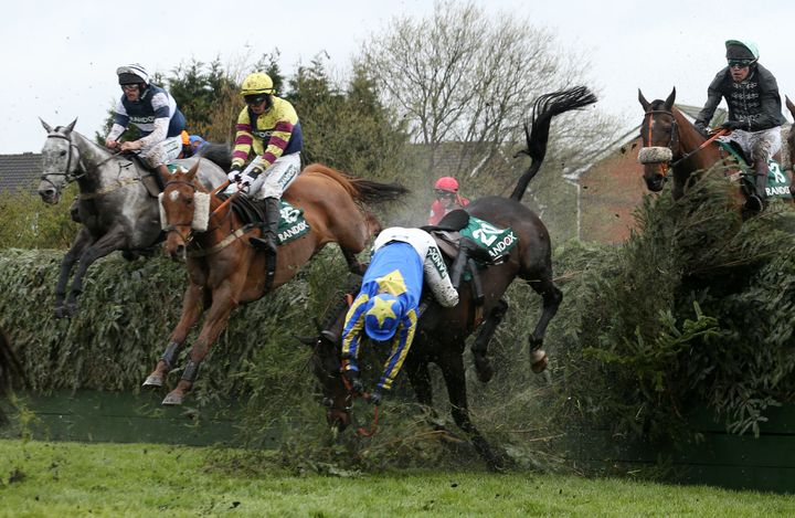 Charlotte Crane falls from Seefood at Becher's Brook during Grand National Thursday – the horse was not fatally injured. 