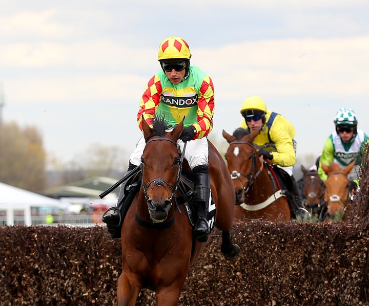 Crucial Role ridden by jockey Harry Skelton was one of those that died.