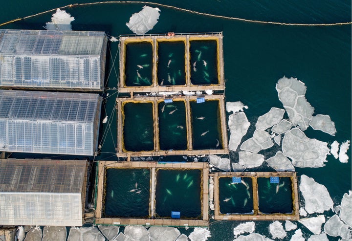 An aerial view of the holding pens.