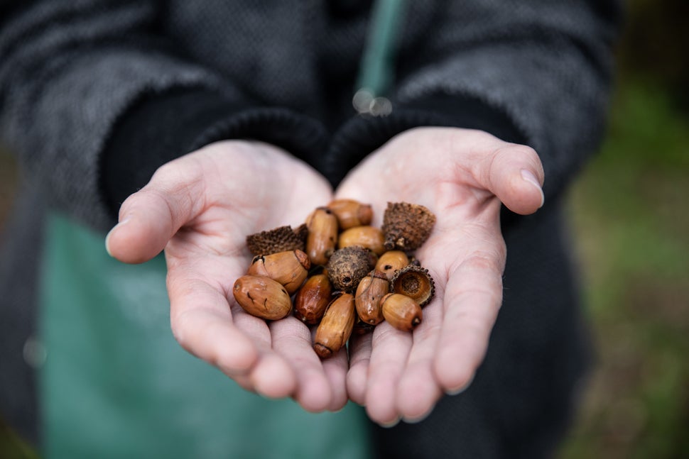 Así se elabora el jamón más exclusivo del