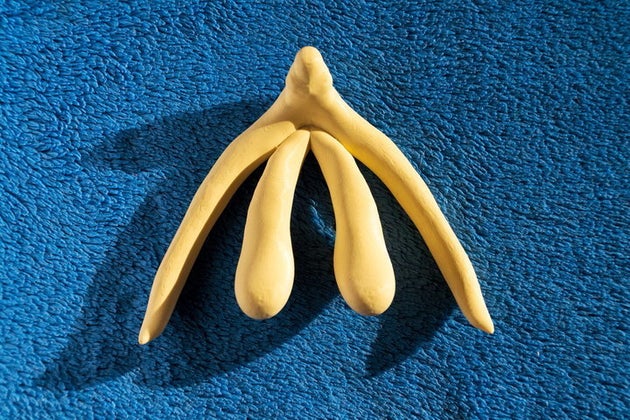 Representación de un clítoris