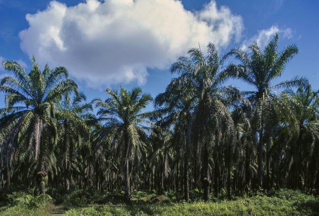 Lakshadweep’s Model Code Violations Are The Kind We Wish The Rest Of India