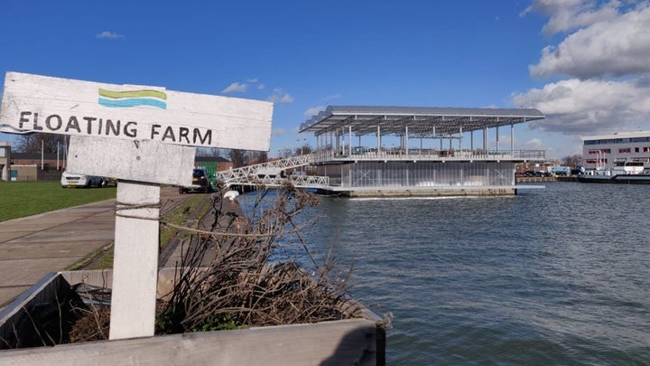 The world's first floating farm in Rotterdam, The Netherlands. 