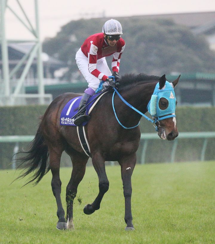 第63回有馬記念（ＧⅠ）。レースを終えた武豊騎乗のオジュウチョウサン＝2018年12月23日、千葉・中山競馬場