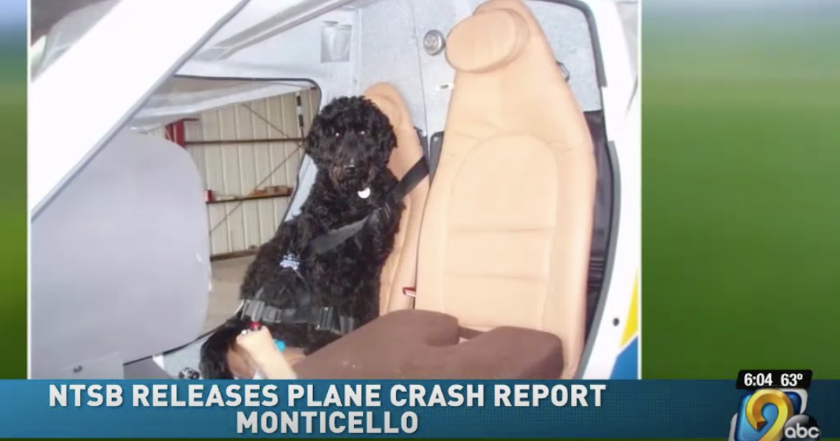 Pilot's Death Likely Caused By Flying With Large Dog In Passenger Seat: Report