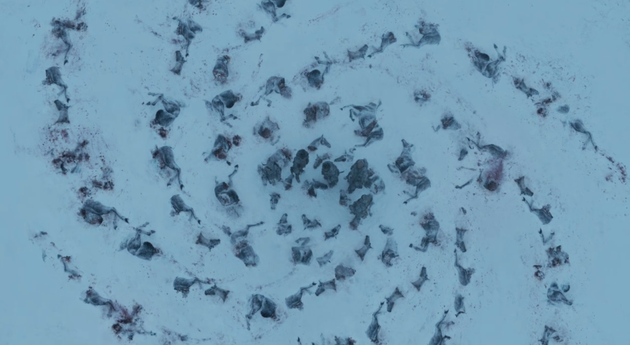 White Walkers horsing