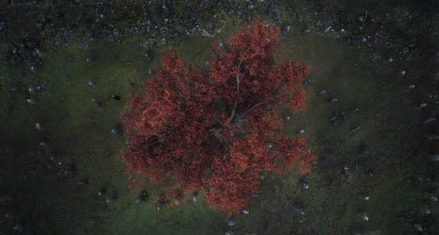 Scene from the first White Walker