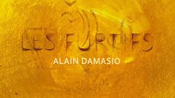 BLOG - Les Furtifs, le nouveau roman d’Alain Damasio, est un exploit