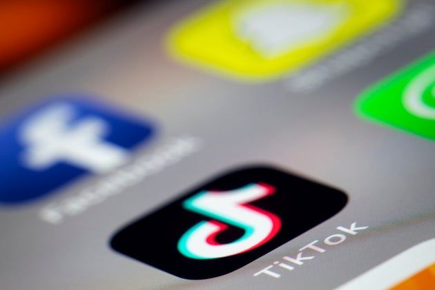 TikTok Vanishes From Google, Apple App Stores In India After Court Orders