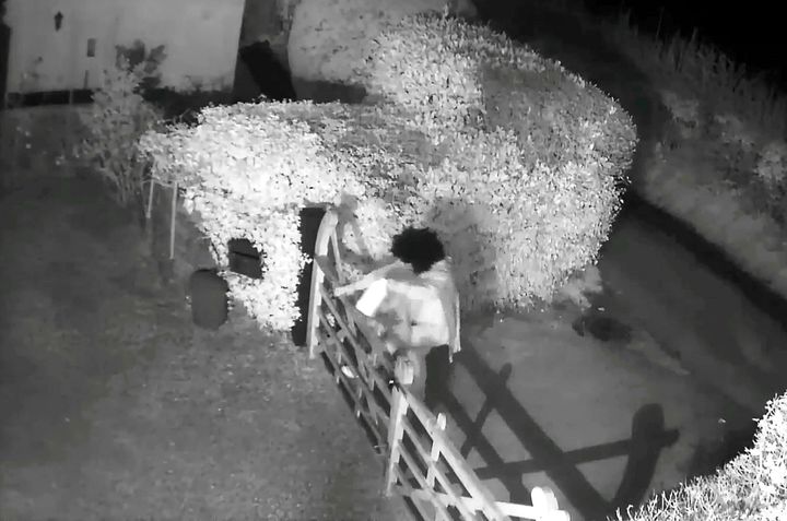 CCTV shows the perpetrator scaling a gate