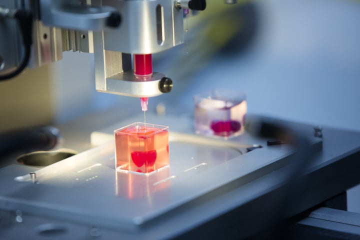 A 3D printed heart made from human tissue is processed in Prof. Tal Dvir's laboratory in Tel Aviv University on April 15, 2019 in Tel Aviv, Israel. 