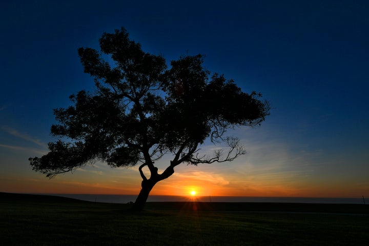 The picturesque Torrey Pines Golf Course sits on top of the cliffs of La Jolla, California.