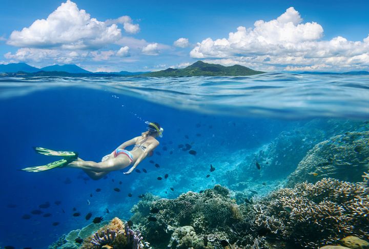 These reef- and ocean-safe sunscreens are effective without harming the environment.