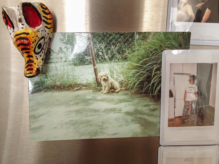 A photo of Pancho that I keep on my fridge to remind me of my first love.