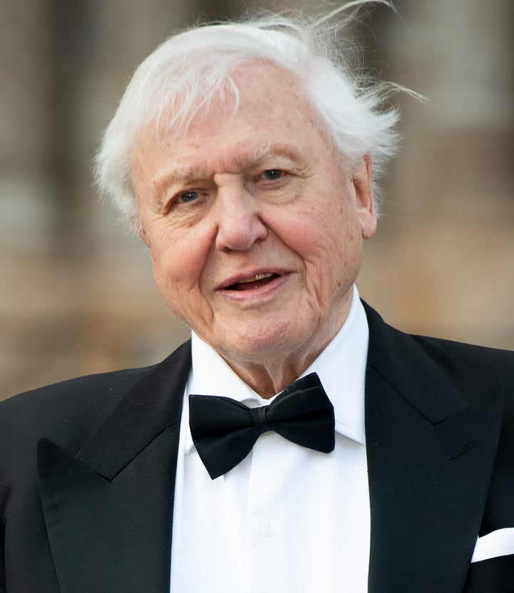 Sir David Attenborough