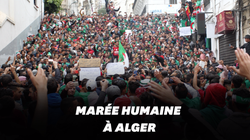 Les Algériens manifestent en masse pour le 9e vendredi