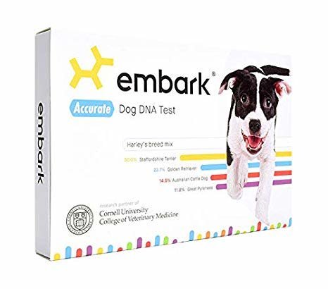 embark dna test review