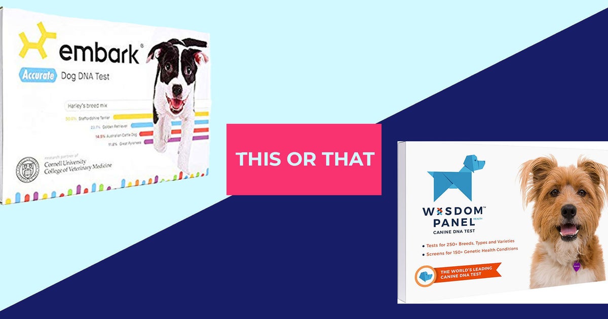 Dog dna testing clearance accuracy