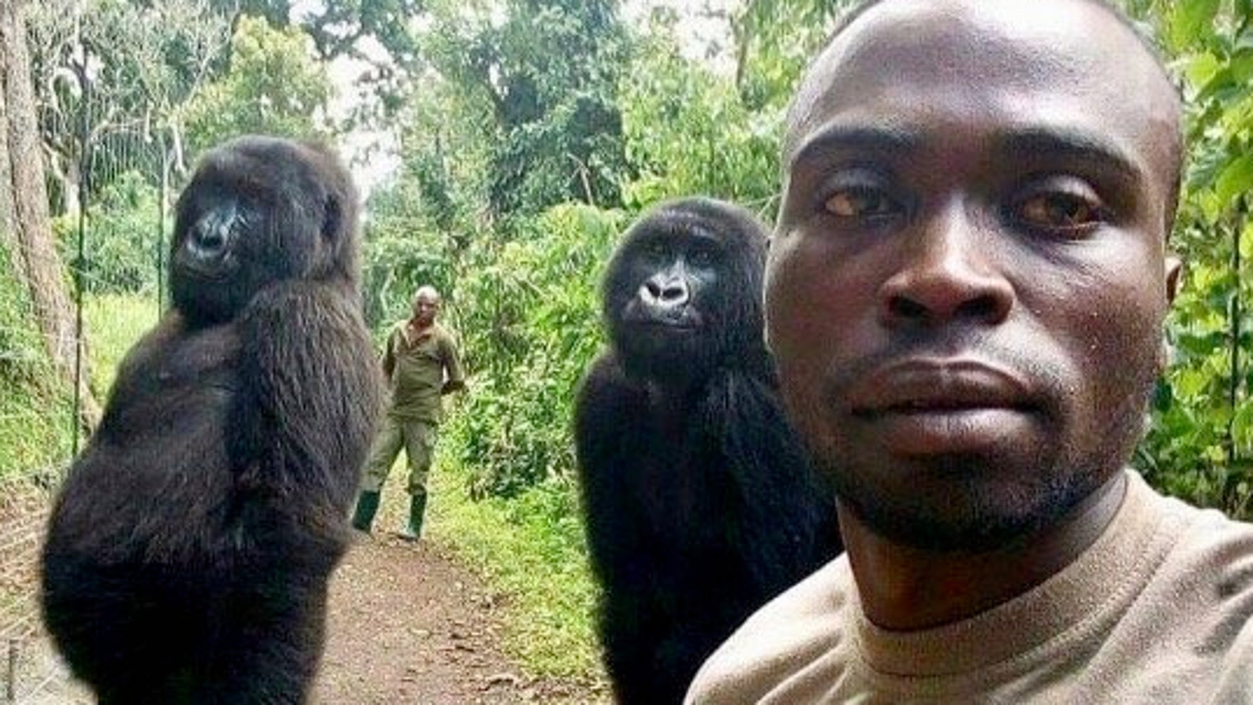 まるで人間みたいなゴリラ 現る 奇跡の瞬間とらえた自撮り写真が話題に ハフポスト World まるで人間みたいなゴリラ 現る 奇跡の瞬間とらえた自撮り写真が話題に ハフポスト World