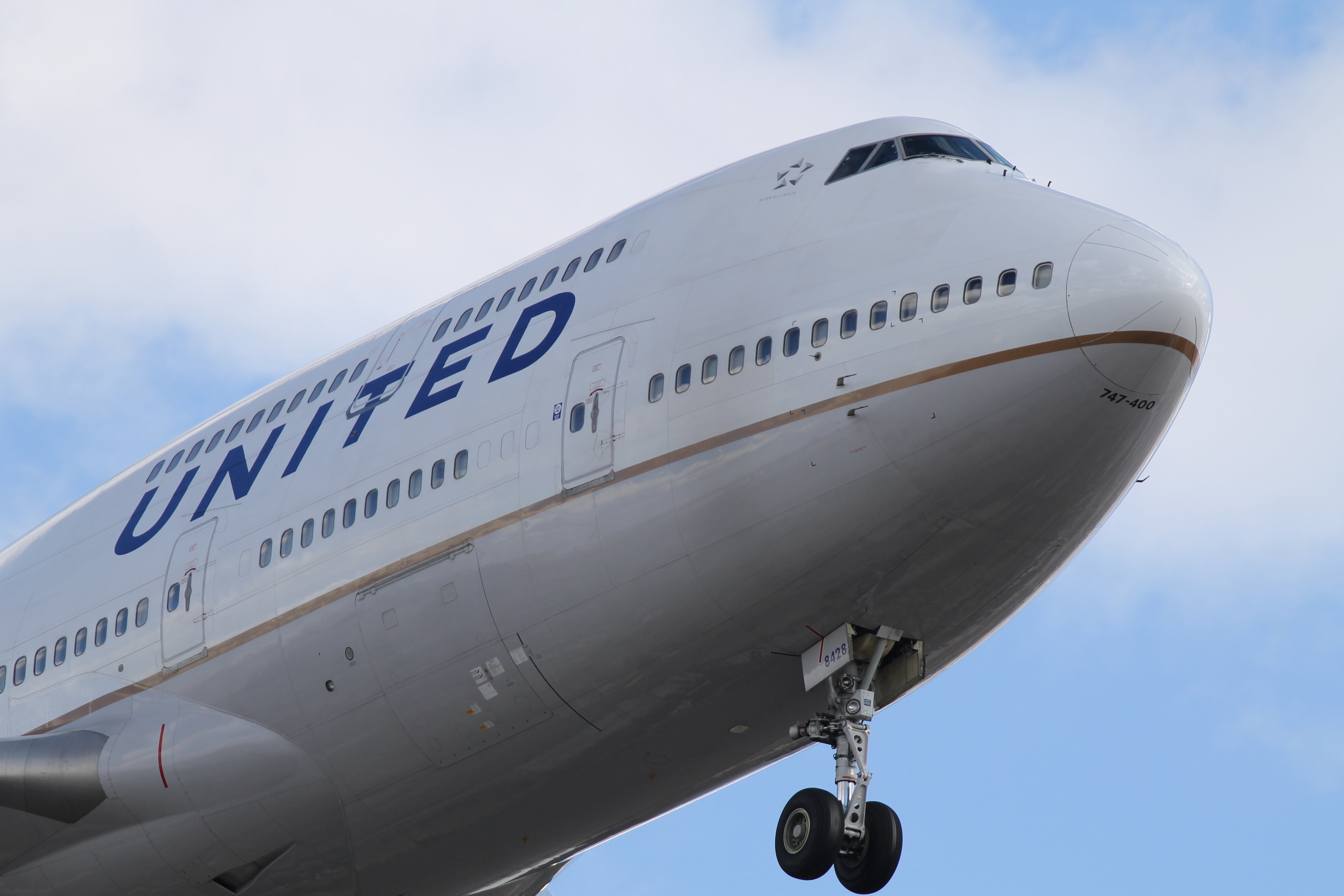 United Airlines Agent Accused Of Calling Black Customer A â€˜Monkeyâ€™ Faces Charge