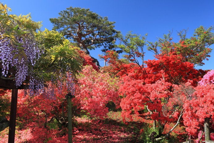 ※写真はイメージです