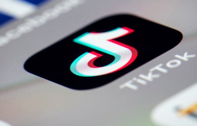 Madras High Court Lifts Ban On TikTok