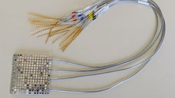 Cet implant transforme les pensées en paroles en devinant les mouvements de votre