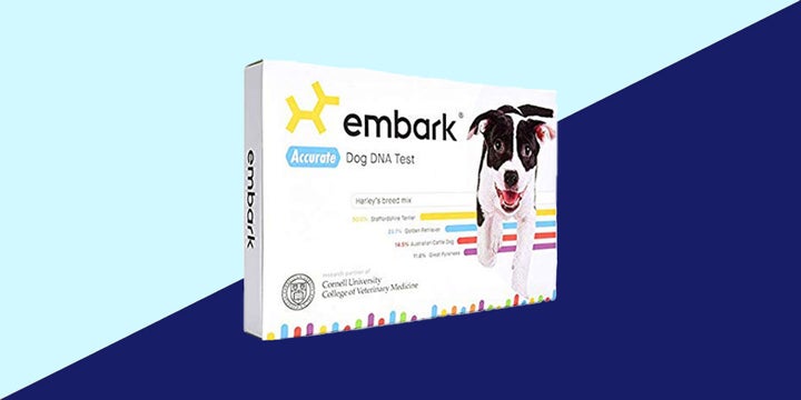 I preferred Embark’s DNA test for the detailed breed information, dog tag and section about “relatives”.