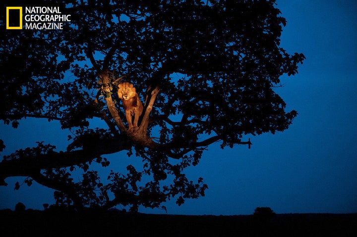 Africa's Albertine Rift: National Geographic Examines One Of The Most ...