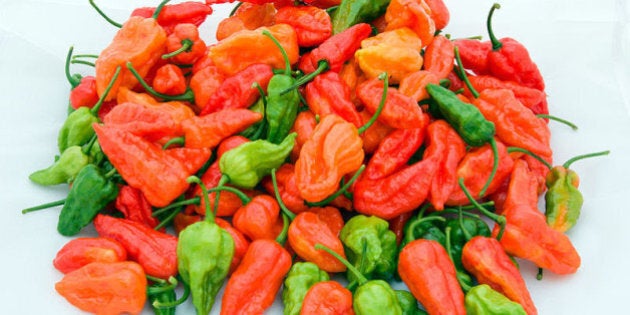 I peperoncini sott'olio, una ricetta gustosa e semplice