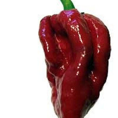 Come seccare i peperoncini piccanti | Tutto per Casa