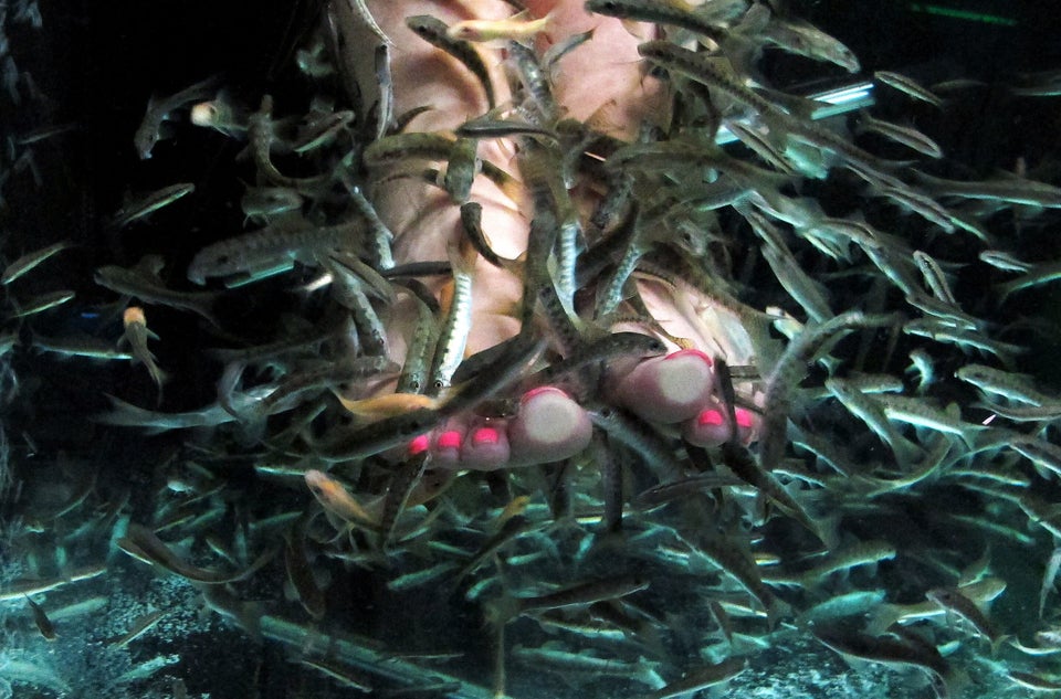 Fish Spa In Thailand