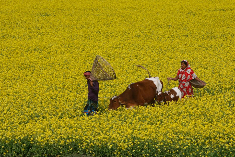 Farmers In Dhaka