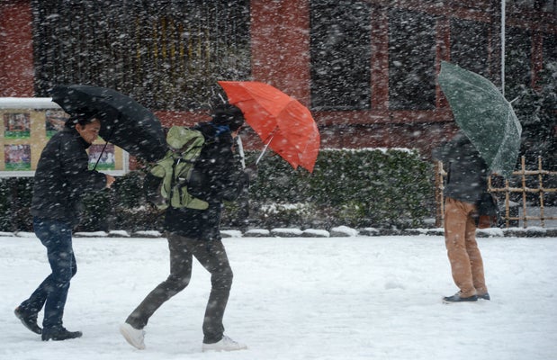 Rare snow in Tokyo blankets shrines, cancels flights