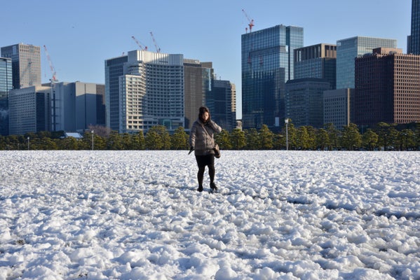 Photos: Heaviest snowstorm in years cuts power, delays travel in Tokyo