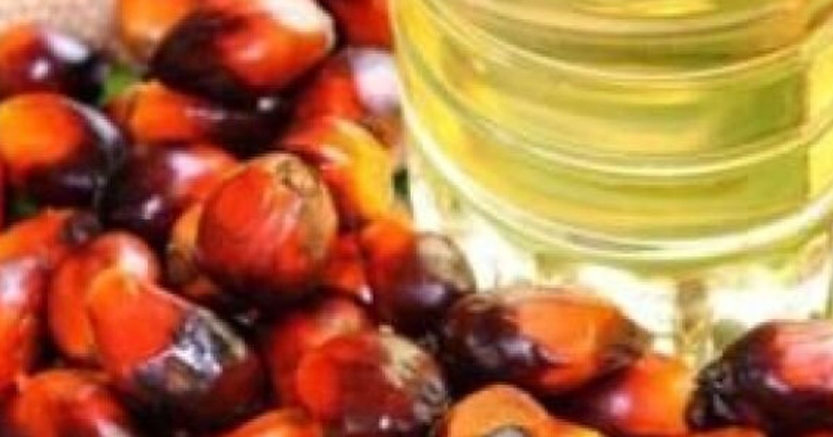 Olio di palma provoca danni alla salute. Ecco 10 motivi per cui
