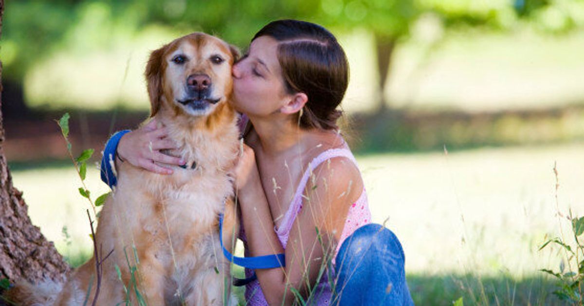 Ci sono almeno 8 motivi per non baciare il vostro cane (FOTO) | L'HuffPost