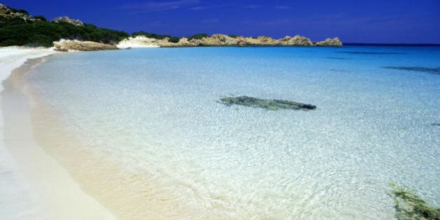 Ruba I Preziosi Granelli Della Spiaggia Rosa E Dopo 29 Anni