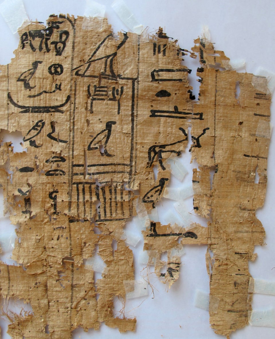 Papyrus in Ancient Egypt, Essay