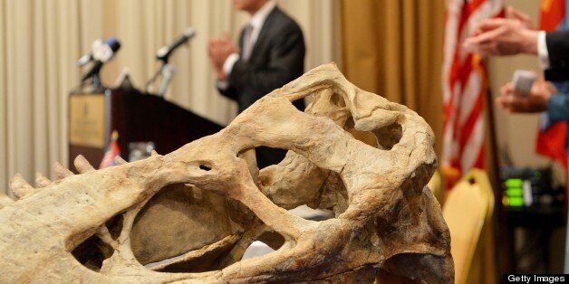 Preet Bharara, US Attorney for the Southern District of New York speaks with part of a 70 million-year-old, nearly complete Tyrannosaurus Bataar skeleton that will be repatriated to the government of Mongolia during an announcement by US Attorney, US Immigration and Customs Enforcement (ICE) and Mongolian officials May 6, 2013 in New York. The skeleton was looted from the Gobi Desert and illegally smuggled into the US. AFP PHOTO/Stan HONDA (Photo credit should read STAN HONDA/AFP/Getty Images)
