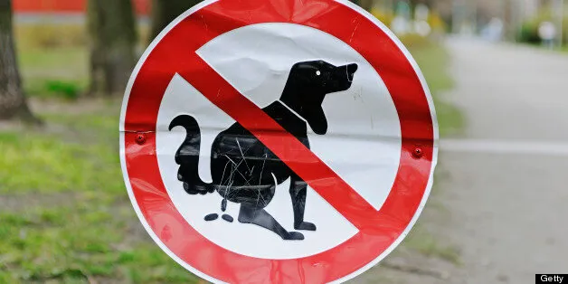 Town Mails Dog Poop Back To Negligent Owners In Spain | HuffPost null