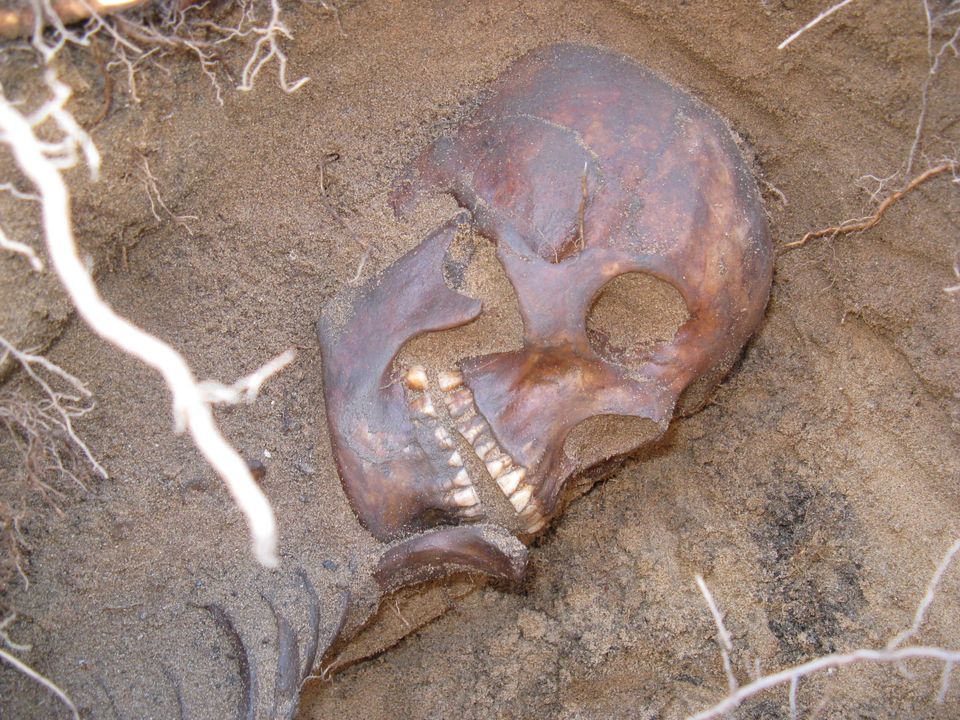 Couple Finds Aboriginal Skeleton In Backyard